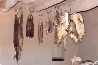 Filename=DSC_5284~0.JPG
Filesize=20951KiB
Dimensions=7360x4912
Date added=Oct 22, 2021 DSC_5284~0.JPG