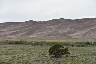 Filename=DSC_5292.JPG
Filesize=18170KiB
Dimensions=7360x4912
Date added=Sep 19, 2019 DSC_5292.JPG