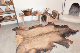 Filename=DSC_5294~0.JPG
Filesize=16863KiB
Dimensions=7360x4912
Date added=Oct 22, 2021 DSC_5294~0.JPG