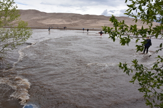 Filename=DSC_5297.JPG
Filesize=20246KiB
Dimensions=7360x4912
Date added=Sep 19, 2019 DSC_5297.JPG