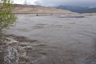 Filename=DSC_5300.JPG
Filesize=19565KiB
Dimensions=7360x4912
Date added=Sep 19, 2019 DSC_5300.JPG