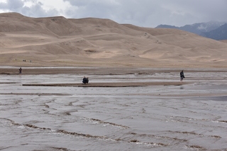 Filename=DSC_5303.JPG
Filesize=18043KiB
Dimensions=7360x4912
Date added=Sep 19, 2019 DSC_5303.JPG