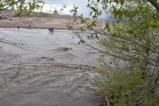 Filename=DSC_5304.JPG
Filesize=21650KiB
Dimensions=7360x4912
Date added=Sep 19, 2019 DSC_5304.JPG