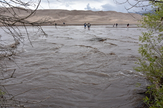 Filename=DSC_5305.JPG
Filesize=19948KiB
Dimensions=7360x4912
Date added=Sep 19, 2019 DSC_5305.JPG