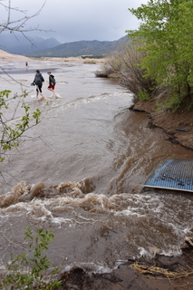 Filename=DSC_5307.JPG
Filesize=18796KiB
Dimensions=4912x7360
Date added=Sep 19, 2019 DSC_5307.JPG