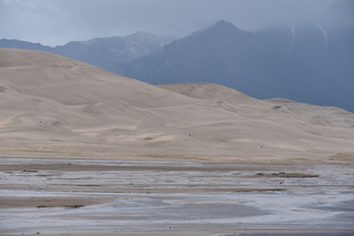 Filename=DSC_5311.JPG
Filesize=15947KiB
Dimensions=7360x4912
Date added=Sep 19, 2019 DSC_5311.JPG