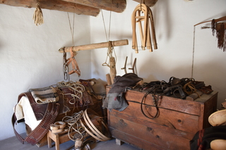 Filename=DSC_5312~0.JPG
Filesize=16225KiB
Dimensions=7360x4912
Date added=Oct 22, 2021 DSC_5312~0.JPG