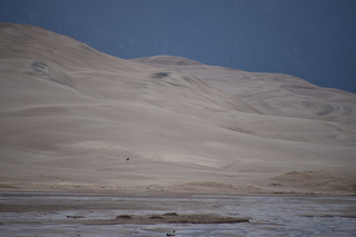 Filename=DSC_5313.JPG
Filesize=15446KiB
Dimensions=7360x4912
Date added=Sep 19, 2019 DSC_5313.JPG