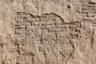 Filename=DSC_5317~0.JPG
Filesize=29611KiB
Dimensions=7360x4912
Date added=Oct 22, 2021 DSC_5317~0.JPG