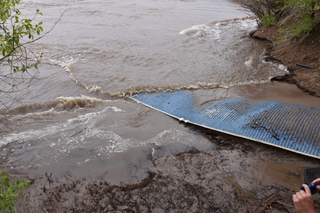 Filename=DSC_5319.JPG
Filesize=21930KiB
Dimensions=7360x4912
Date added=Sep 19, 2019 DSC_5319.JPG