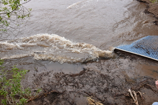 Filename=DSC_5320.JPG
Filesize=22435KiB
Dimensions=7360x4912
Date added=Sep 19, 2019 DSC_5320.JPG