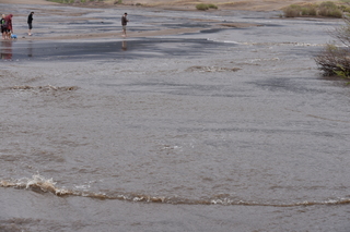 Filename=DSC_5326.JPG
Filesize=19208KiB
Dimensions=7360x4912
Date added=Sep 19, 2019 DSC_5326.JPG