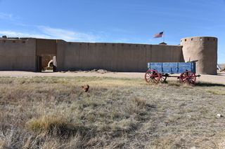 Filename=DSC_5326~0.JPG
Filesize=24348KiB
Dimensions=7360x4912
Date added=Oct 22, 2021 DSC_5326~0.JPG