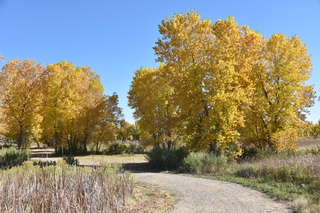 Filename=DSC_5327~0.JPG
Filesize=28180KiB
Dimensions=7360x4912
Date added=Oct 22, 2021 DSC_5327~0.JPG