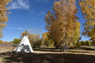 Filename=DSC_5329~0.JPG
Filesize=25417KiB
Dimensions=7360x4912
Date added=Oct 22, 2021 DSC_5329~0.JPG