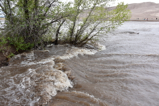 Filename=DSC_5330.JPG
Filesize=23214KiB
Dimensions=7360x4912
Date added=Sep 19, 2019 DSC_5330.JPG