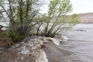 Filename=DSC_5331.JPG
Filesize=25415KiB
Dimensions=7360x4912
Date added=Sep 19, 2019 DSC_5331.JPG