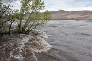 Filename=DSC_5333.JPG
Filesize=23219KiB
Dimensions=7360x4912
Date added=Sep 19, 2019 DSC_5333.JPG