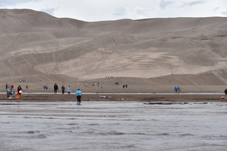 Filename=DSC_5334.JPG
Filesize=16721KiB
Dimensions=7360x4912
Date added=Sep 19, 2019 DSC_5334.JPG