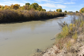 Filename=DSC_5334~0.JPG
Filesize=22599KiB
Dimensions=7360x4912
Date added=Oct 22, 2021 DSC_5334~0.JPG