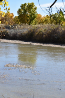 Filename=DSC_5335~0.JPG
Filesize=19142KiB
Dimensions=4912x7360
Date added=Oct 22, 2021 DSC_5335~0.JPG