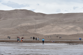 Filename=DSC_5336.JPG
Filesize=17686KiB
Dimensions=7360x4912
Date added=Sep 19, 2019 DSC_5336.JPG