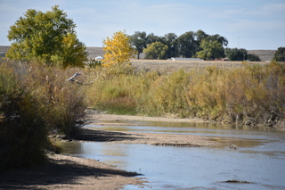 Filename=DSC_5337~0.JPG
Filesize=20264KiB
Dimensions=7360x4912
Date added=Oct 22, 2021 DSC_5337~0.JPG