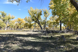 Filename=DSC_5341~0.JPG
Filesize=27612KiB
Dimensions=7360x4912
Date added=Oct 22, 2021 DSC_5341~0.JPG