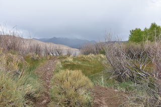 Filename=DSC_5342.JPG
Filesize=22295KiB
Dimensions=7360x4912
Date added=Sep 19, 2019 DSC_5342.JPG