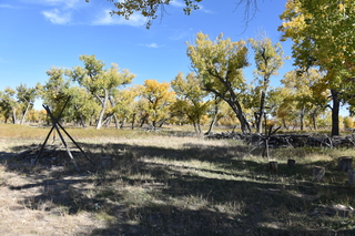 Filename=DSC_5342~0.JPG
Filesize=26612KiB
Dimensions=7360x4912
Date added=Oct 22, 2021 DSC_5342~0.JPG