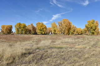 Filename=DSC_5344~0.JPG
Filesize=25941KiB
Dimensions=7360x4912
Date added=Oct 22, 2021 DSC_5344~0.JPG