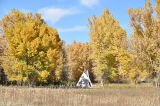 Filename=DSC_5345~0.JPG
Filesize=29505KiB
Dimensions=7360x4912
Date added=Oct 22, 2021 DSC_5345~0.JPG