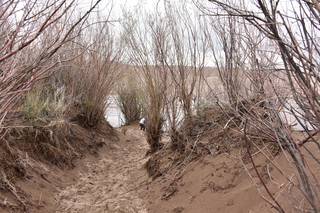 Filename=DSC_5346.JPG
Filesize=27790KiB
Dimensions=7360x4912
Date added=Sep 19, 2019 DSC_5346.JPG