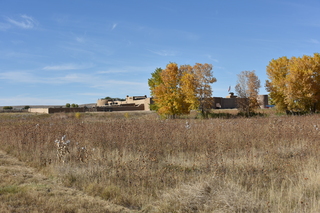 Filename=DSC_5348~0.JPG
Filesize=23656KiB
Dimensions=7360x4912
Date added=Oct 22, 2021 DSC_5348~0.JPG