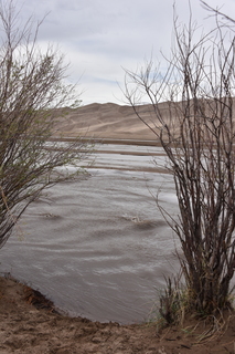 Filename=DSC_5350.JPG
Filesize=18194KiB
Dimensions=4912x7360
Date added=Sep 19, 2019 DSC_5350.JPG