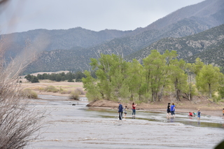 Filename=DSC_5352.JPG
Filesize=19451KiB
Dimensions=7360x4912
Date added=Sep 19, 2019 DSC_5352.JPG