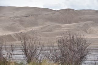 Filename=DSC_5356.JPG
Filesize=17475KiB
Dimensions=7360x4912
Date added=Sep 19, 2019 DSC_5356.JPG