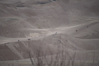 Filename=DSC_5357.JPG
Filesize=16052KiB
Dimensions=7360x4912
Date added=Sep 19, 2019 DSC_5357.JPG