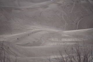 Filename=DSC_5358.JPG
Filesize=15797KiB
Dimensions=7360x4912
Date added=Sep 19, 2019 DSC_5358.JPG