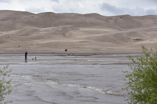 Filename=DSC_5364.JPG
Filesize=18231KiB
Dimensions=7360x4912
Date added=Sep 19, 2019 DSC_5364.JPG