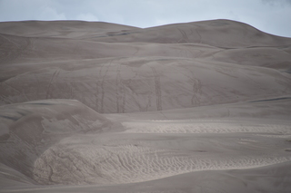 Filename=DSC_5368.JPG
Filesize=14977KiB
Dimensions=7360x4912
Date added=Sep 19, 2019 DSC_5368.JPG