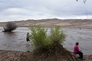 Filename=DSC_5371.JPG
Filesize=19403KiB
Dimensions=7360x4912
Date added=Sep 19, 2019 DSC_5371.JPG