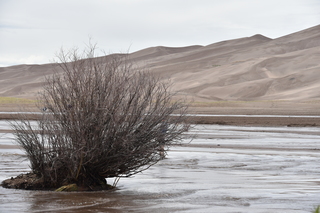 Filename=DSC_5374.JPG
Filesize=20134KiB
Dimensions=7360x4912
Date added=Sep 19, 2019 DSC_5374.JPG