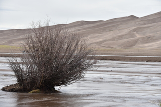 Filename=DSC_5375.JPG
Filesize=18557KiB
Dimensions=7360x4912
Date added=Sep 19, 2019 DSC_5375.JPG