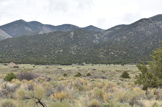 Filename=DSC_5378.JPG
Filesize=20746KiB
Dimensions=7360x4912
Date added=Sep 19, 2019 DSC_5378.JPG