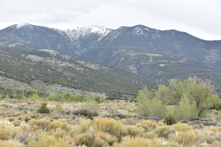 Filename=DSC_5379.JPG
Filesize=20771KiB
Dimensions=7360x4912
Date added=Sep 19, 2019 DSC_5379.JPG