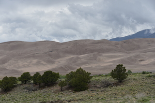 Filename=DSC_5385.JPG
Filesize=17765KiB
Dimensions=7360x4912
Date added=Sep 19, 2019 DSC_5385.JPG