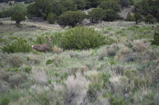 Filename=DSC_5415.JPG
Filesize=18462KiB
Dimensions=7360x4912
Date added=Sep 19, 2019 DSC_5415.JPG