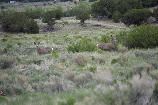 Filename=DSC_5417.JPG
Filesize=18089KiB
Dimensions=7360x4912
Date added=Sep 19, 2019 DSC_5417.JPG