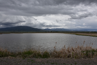 Filename=DSC_5424.JPG
Filesize=19803KiB
Dimensions=7360x4912
Date added=Sep 19, 2019 DSC_5424.JPG